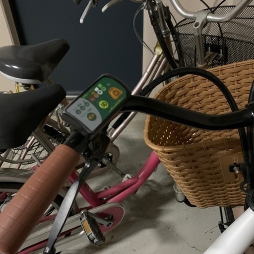 電動アシスト自転車