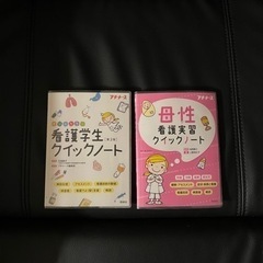 プチナース クイックノートセット