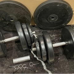 ダンベル 筋トレ 片手20kg×2＋α