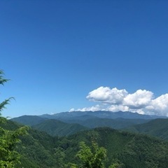 薪、原木、木材、を譲って頂けませんか？