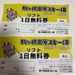 駒ヶ根高原スキー場　大人2枚