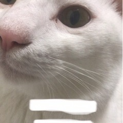 つな