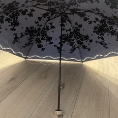 ANNA SUI 折り畳み傘の画像