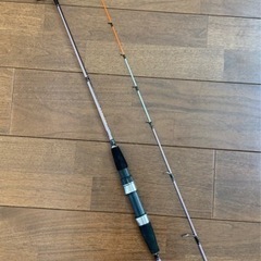 美品　ケースつき釣竿　160