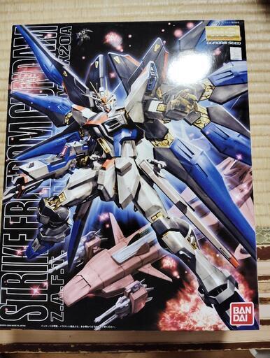 ガンダムプラモデル1/100