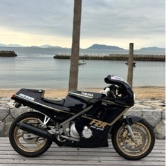 YAMAHA FZR250 2KR の画像