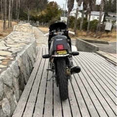 YAMAHA FZR250 2KR の画像