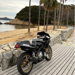 YAMAHA FZR250 2KR の画像