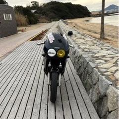 YAMAHA FZR250 2KR の画像