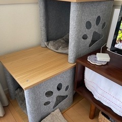 【お譲り先決まりました】キャットタワー　シニア猫　子猫