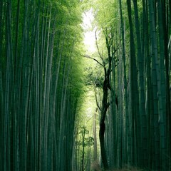 開催間近！★3/23(土)東京・祐天寺【呼吸・瞑想】印瞑想講習会 