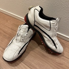 FootJoy 男性用ゴルフシューズ26cm