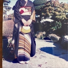 振り袖　着画あり　成人式　鳥丸軍雪作家さんのものです。 正絹　4点セット　ダイアナデザイナーの画像