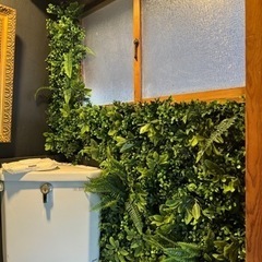 コーナン　壁面緑化パネル　フェイクグリーンの画像