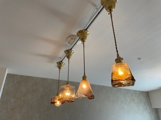 証明4種類 ライト　期間限定‼️