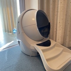 受け渡し予定！受付終了！