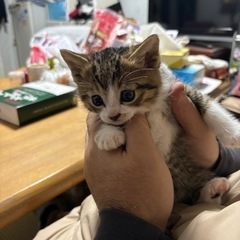 ずっとの家探しの画像