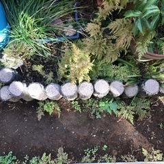 擬木　丸太風　コンクリ丸太　園芸　植木　土留め　池　盆栽の画像