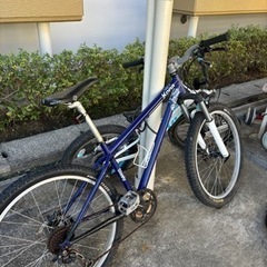 kona steely
