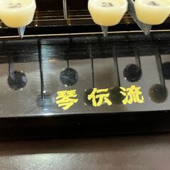 電気大正琴 琴伝流　白菊の画像