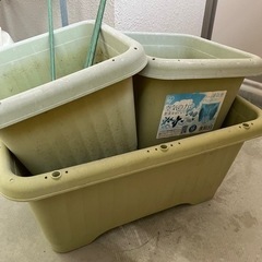 家庭菜園　鉢　支柱
