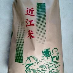 近江米 玄米 みずかがみ 30キロ 令和6年収穫 特別栽培米