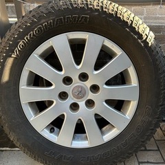 ヨコハマジオランダーA/T g015