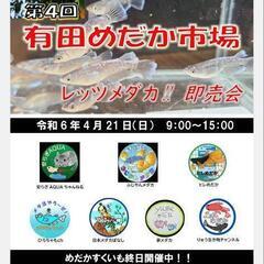 メダカ販売会　豪華ゲストにYouTuber安らぎAQUAさん出店...