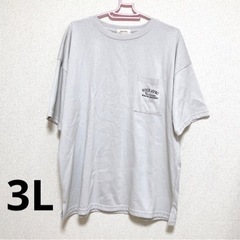 Tシャツ3L