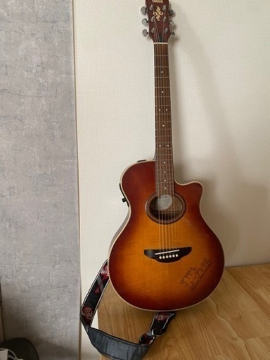 エレクトリックアコースティックギター