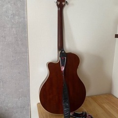 エレクトリックアコースティックギターの画像