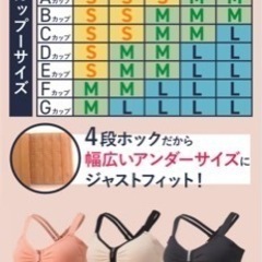 ロザブルー ジャストフィット ナイトブラ 2点購入で￥1,500の画像
