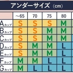 ロザブルー ジャストフィット ナイトブラ 2点購入で￥1,500の画像