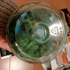 フトアゴヒゲトカゲ　トカゲ　エサ　餌の画像