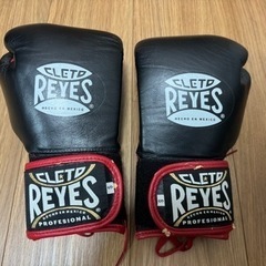 レイジェス(reyes) マジックテープタイプのスパーリング・ト...