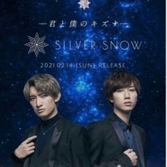 シルバースノー silver snow ネックレス 限定品の画像