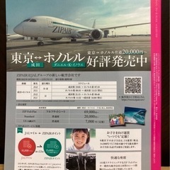 ハワイアンブリーズ　ラニラニ　HawaiianBreeze LaniLaniの画像