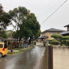 道路にはみ出た植栽の剪定❗️伐採❗️