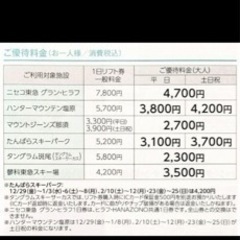 ニセコ東急 グラン・ヒラフ　株主優待券　２枚セットの画像