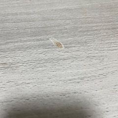 こたつ　の画像