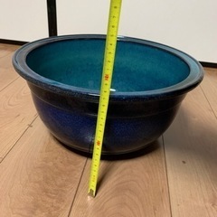 メダカ鉢　睡蓮鉢の画像