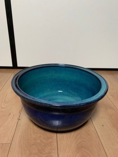 メダカ鉢　睡蓮鉢