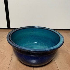 メダカ鉢　睡蓮鉢