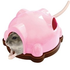 ハムスターヒーターの画像
