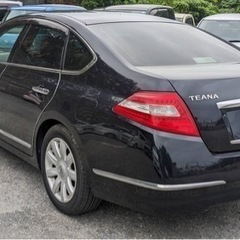 ティアナの画像