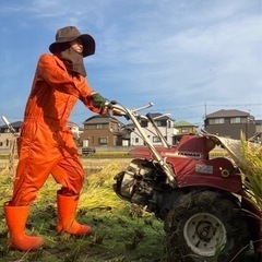 農業ボランティア⭐︎農業体験 - 助け合い