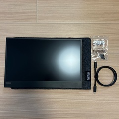 Lenovo ThinkVision M15