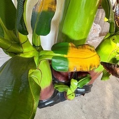 巨大バナナの木の置物　木製　植物　フェイクグリーンの画像