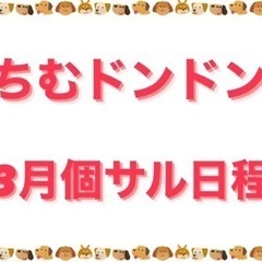個人参加型フットサルちむドンドン3月日程