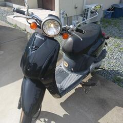 ホンダ　トゥデイ　原付　田辺市の画像